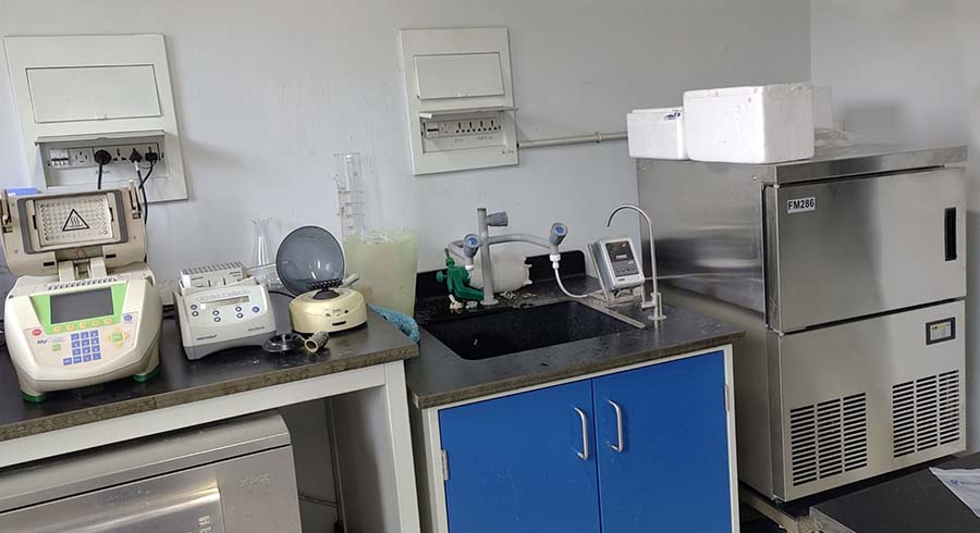 雪花制冰機.jpg 雪花制冰機.jpg